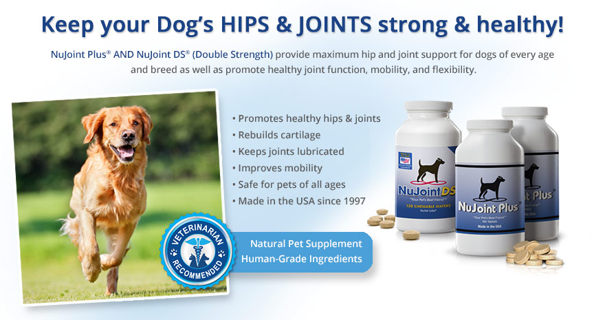 nujoint-plus-and-nujoint-ds-supplements4-revised